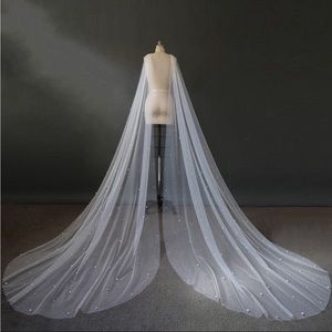 ✨HP✨Wing cape veil with pearl details